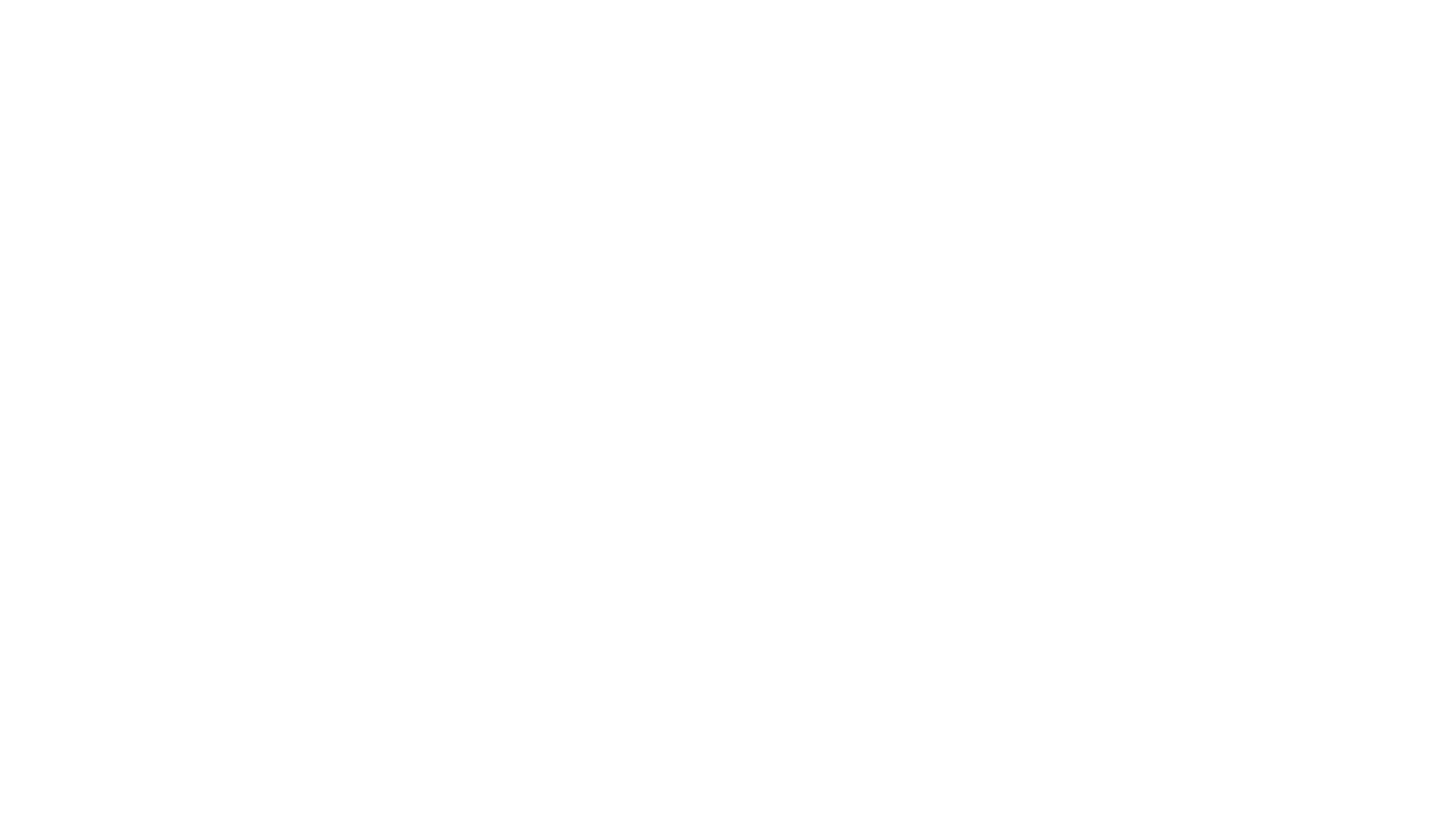 Fuse Buchegg